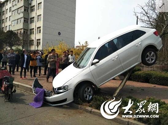 山东：女司机太猛 轿车开上树