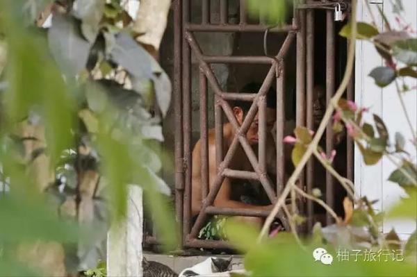 普利策奖女记者：揭露不公 而不是粉饰太平