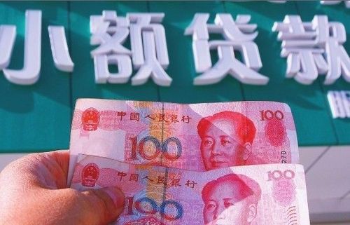河南省小贷公司数量达317家 今后可同城跨区经营