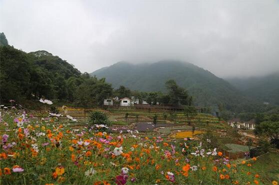 河南：宝丰县11个村被列入全国乡村旅游扶贫重点村