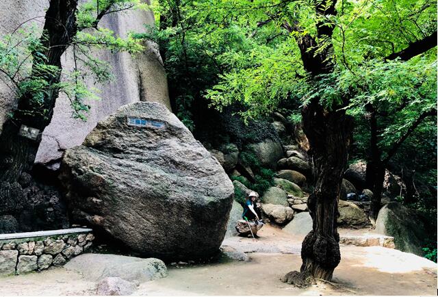 河南：青少年免费游嵖岈山