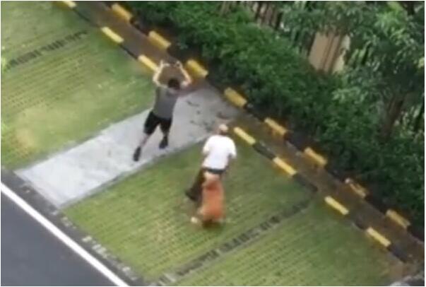 QQ截图20190630212210.jpg