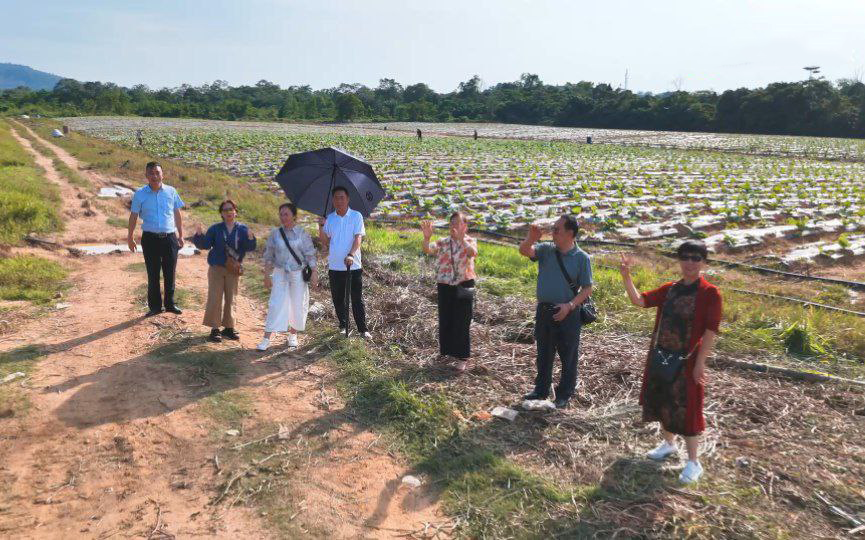 金链资本森美兰考察：600亩规模化运营打造高频现金流，RWA通证化赋能全球投资者